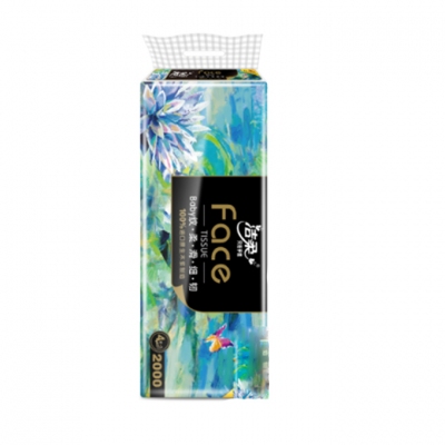 洁柔 油画有芯卷纸10卷/提 12提/包BJ203-10单位：包